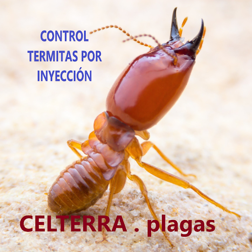 Celterra -eficiencia contra plagas-