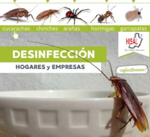 Hisal. Control de plagas Almería. Empresa de fumigación.