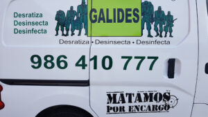 Galides