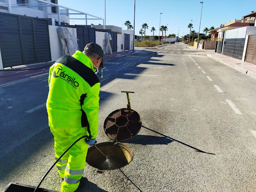 Tarsilo Control de plagas, fumigación y Desinfección Pest control services