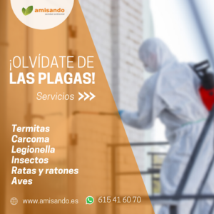 Control de Plagas Sevilla Servicios de sanidad ambiental para empresas Amisando